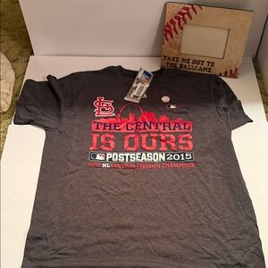 Vintage MLB St. Louis Cardinals Gray/Red Postseason Graphic & picture frame